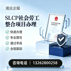 安庆SLCP社会劳工整合项目申报服务