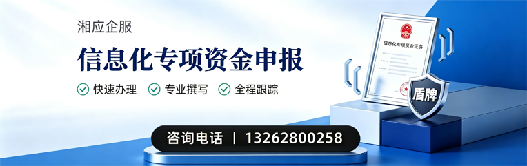 安庆信息化专项资金申报服务