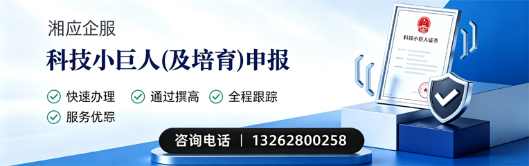 安庆科技小巨人及培育企业申报服务