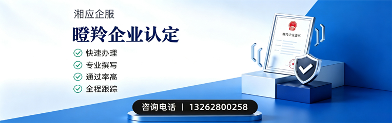 安庆瞪羚企业认定申报服务