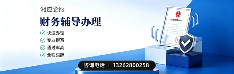 安庆财务辅导申请服务