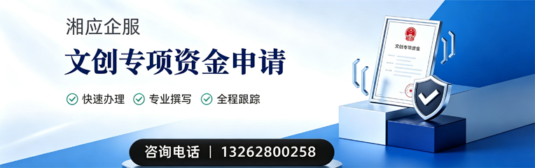 安庆文创专项资金申报服务