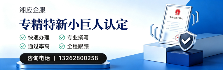 安庆专精特新小巨人申报服务